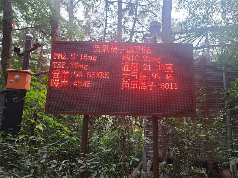 負(fù)氧離子 內(nèi)頁(yè) (2).jpg