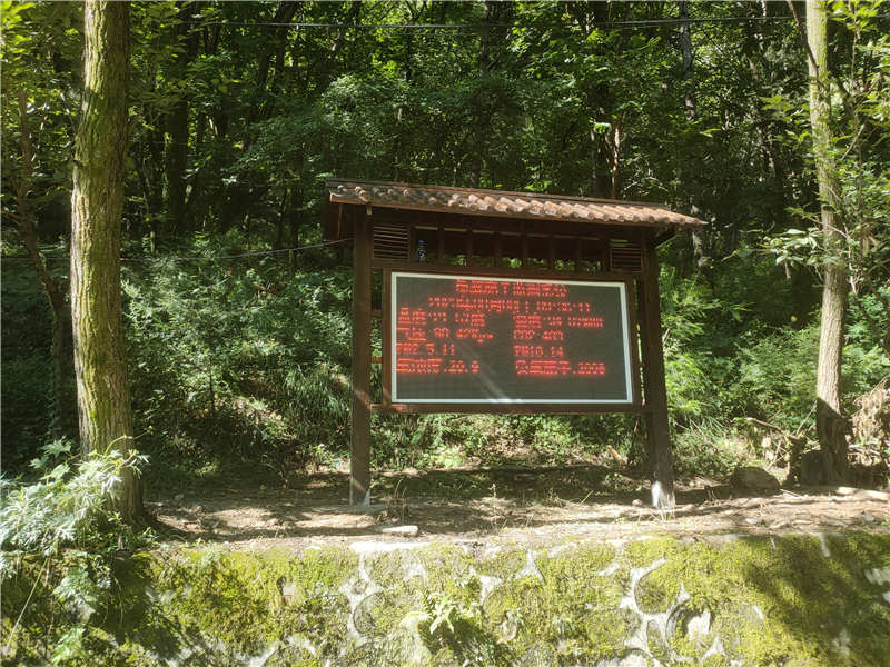 負(fù)氧離子 內(nèi)頁(yè).jpg